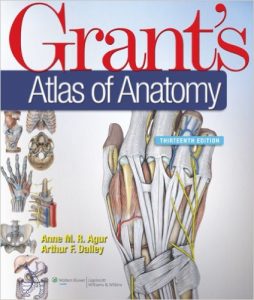 Grant’s Atlas Of Anatomy 13th Edition | CtsQena