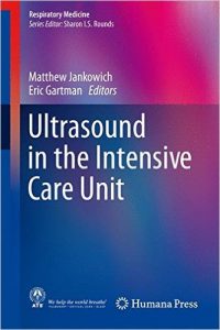 ultrasound-in-the-intensive-care-unit-respiratory-medicine-2015th-edition