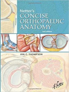 netters-concise-orthopaedic-anatomy-2e